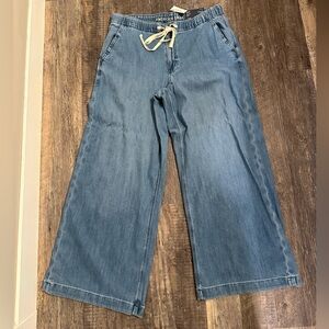 American Eagle Outfitters Light Blue Flare Jeans